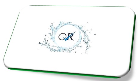 Quality RO IPO Subscription Status
