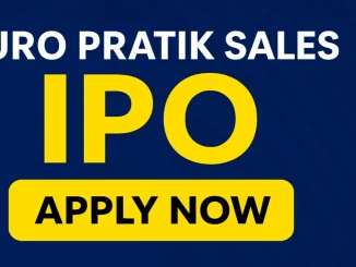 Euro Pratik Sales IPO